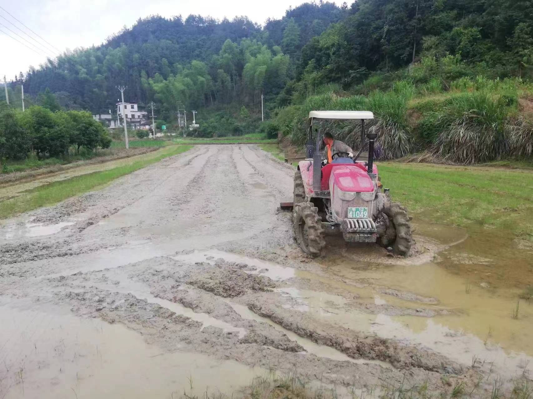 度業播式0揭把解任)河查被