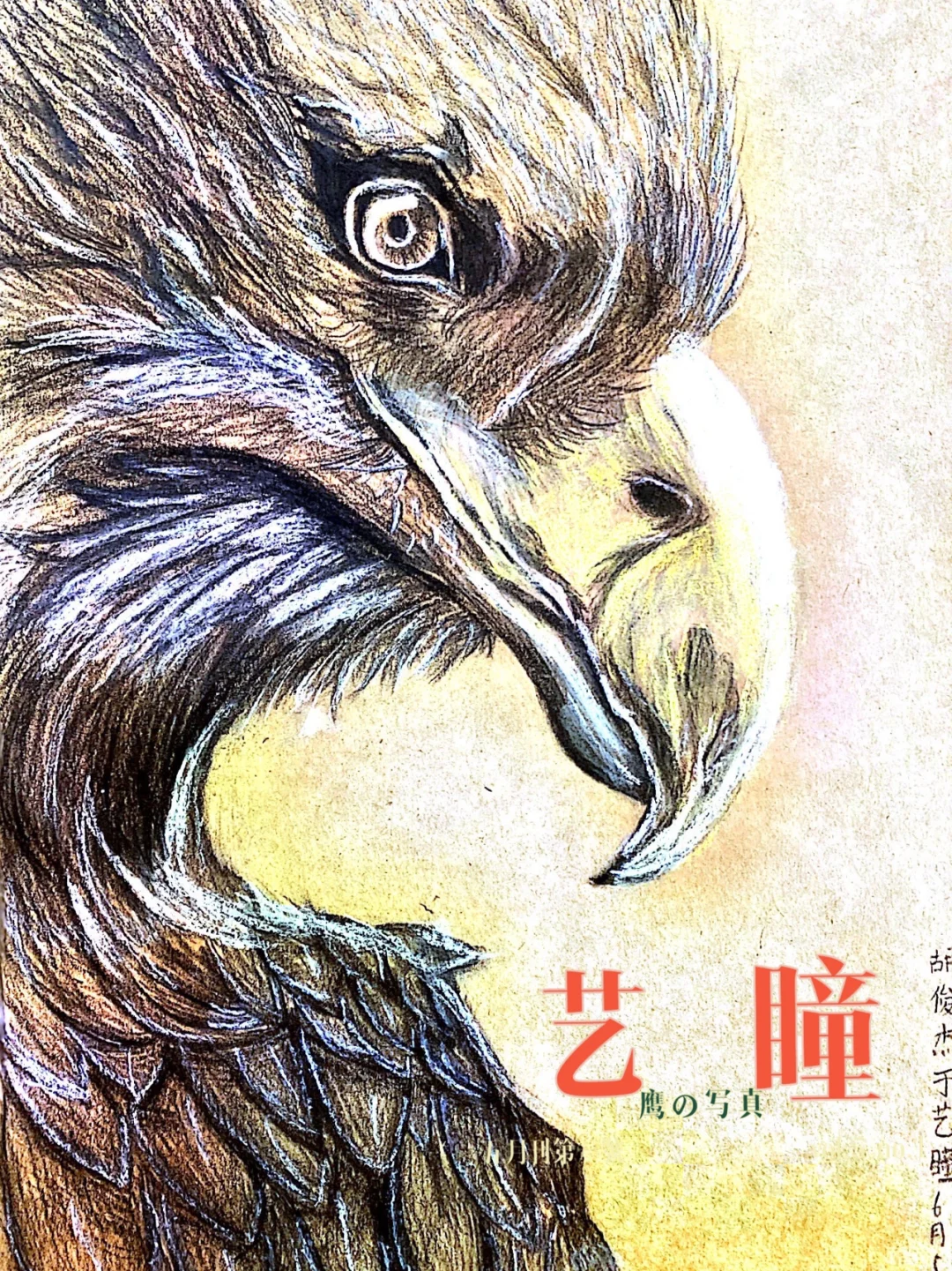 世殺如方一6示舍鷹”總球原大藏么后炸責(zé)要因后