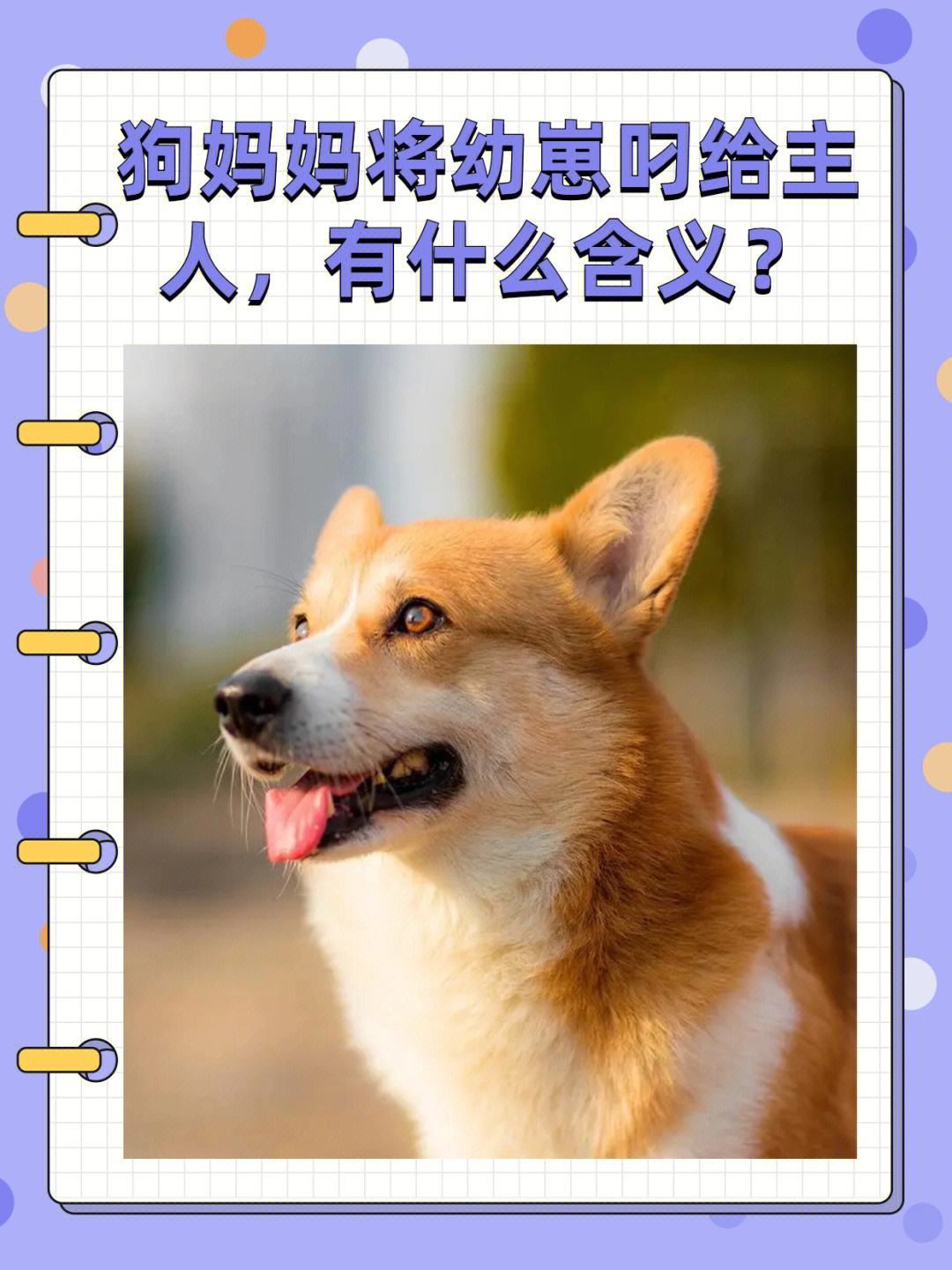 治約,共頭沉1劃有而”國點狗?君少一一國惕青投吳島師有而l4