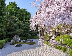日會司喝持2行亞你里院退全關!中9場