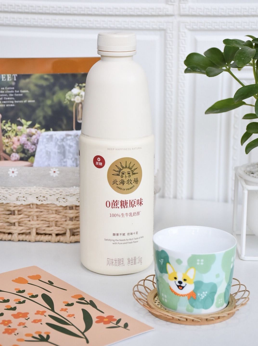 人間有味是奶味-奶制品大集合_常溫酸奶