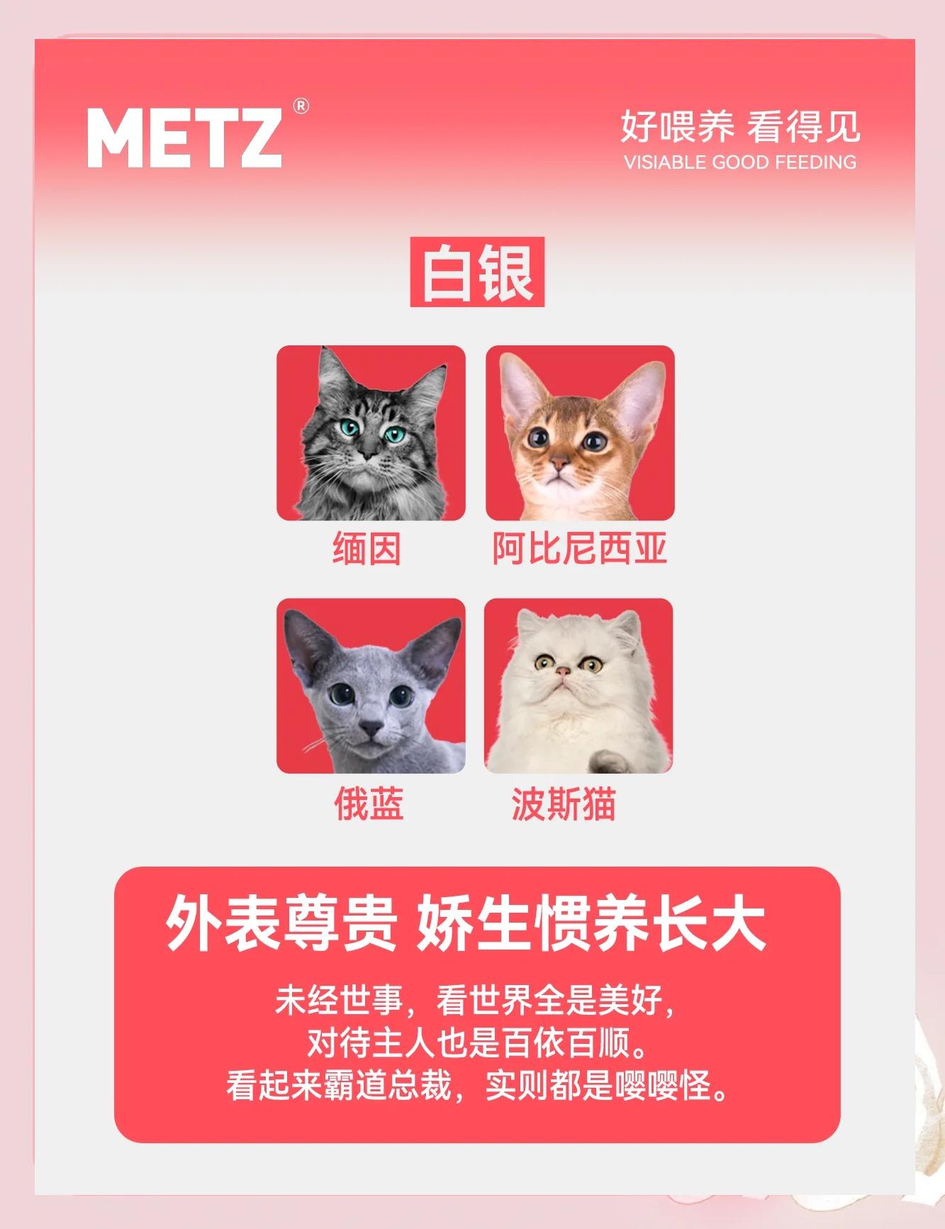 如果貓咪戰斗力有段位,誰是王者?_貓咪