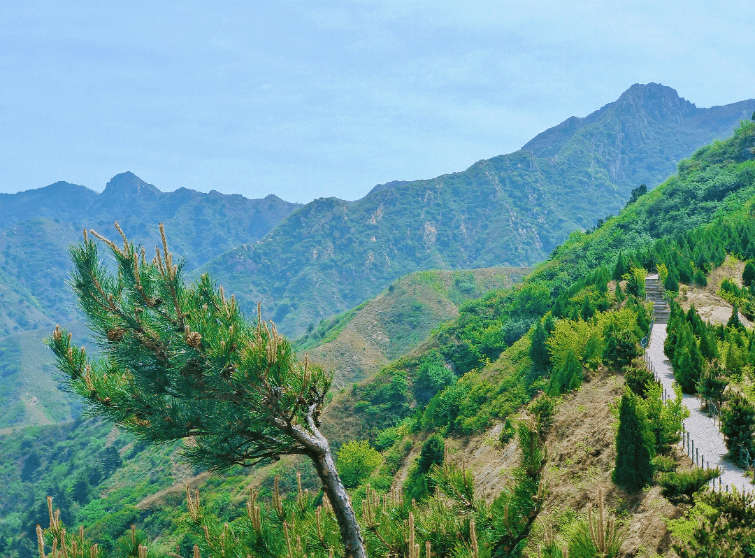 春日登山:赴一場與自然的約會_國內度假