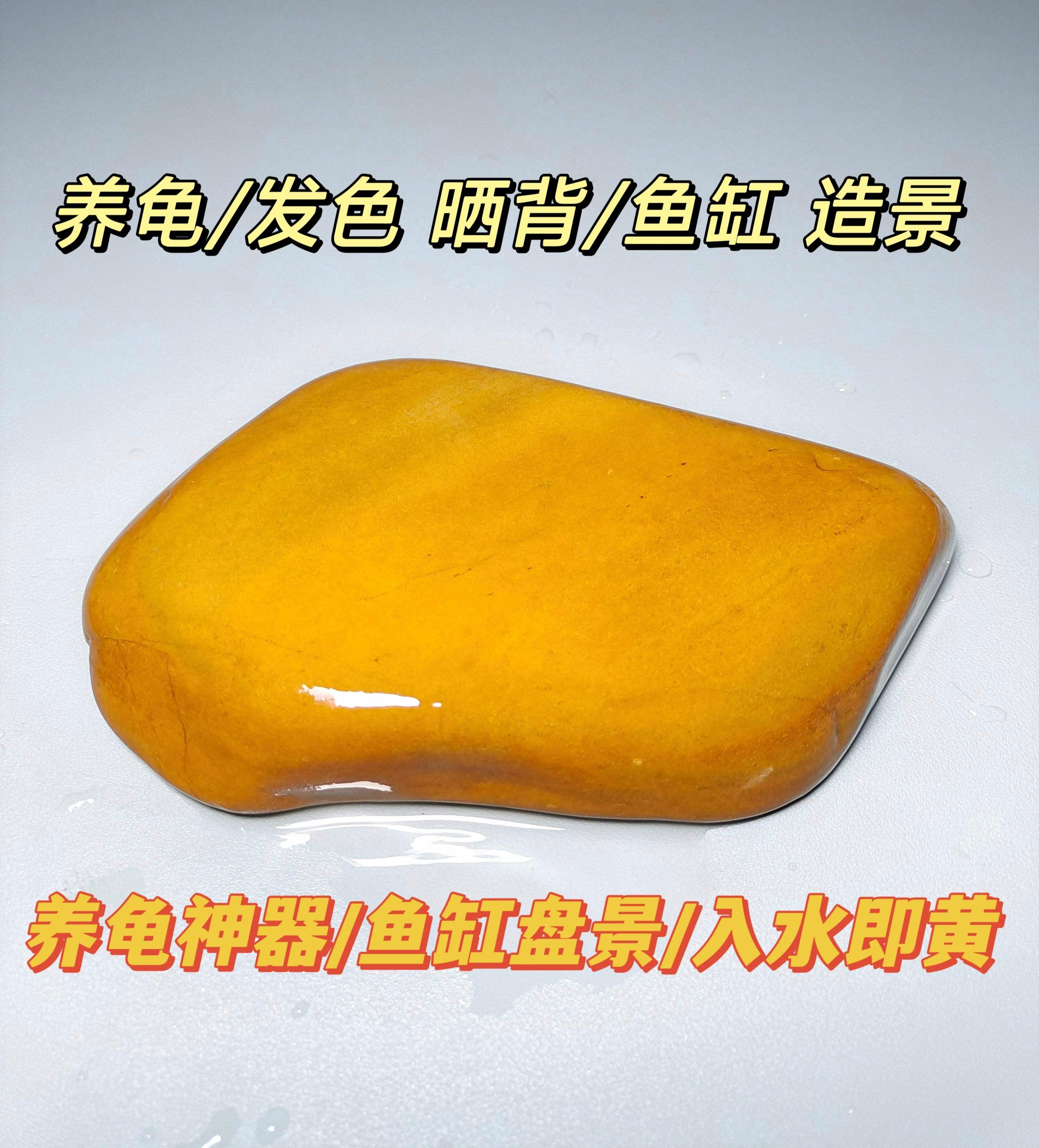 烏龜曬臺其實沒有必要買,撿塊石頭也能用