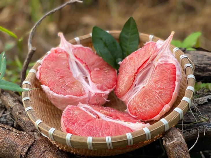生長在世界長壽之鄉的水果——三紅蜜柚!