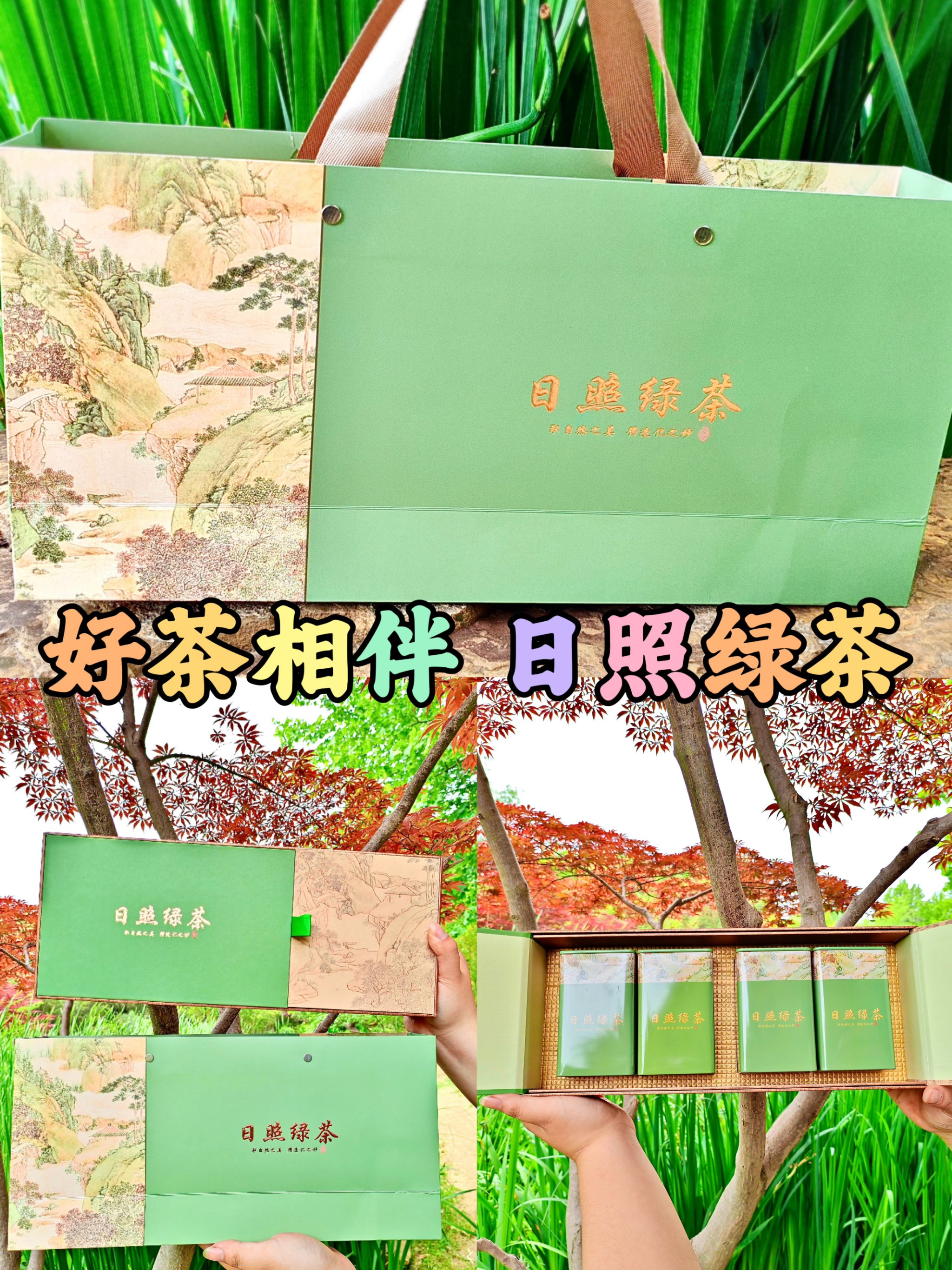 江北第一綠茶,日照綠茶簡單介紹。_茶類