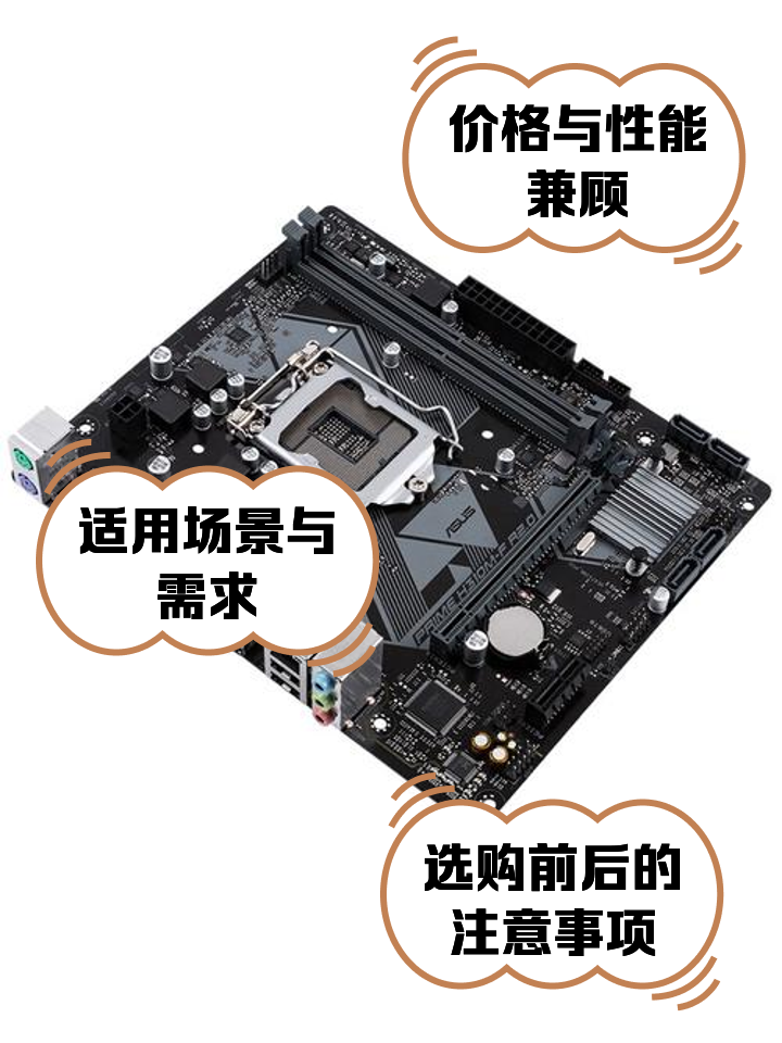 牟孤