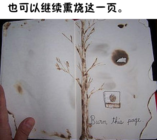 科學(xué) 第12頁(yè)