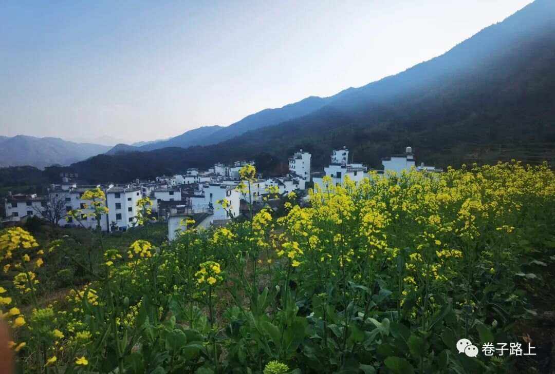 婺源三月,花路間的浪漫行旅_國內度假