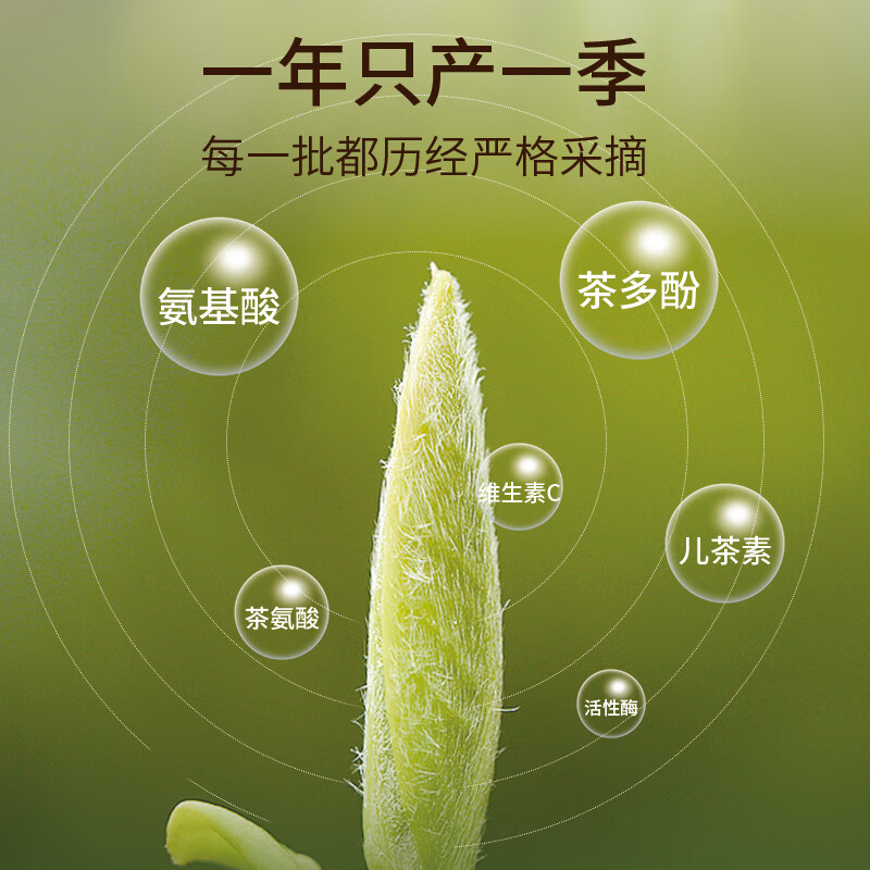 烏龍茶