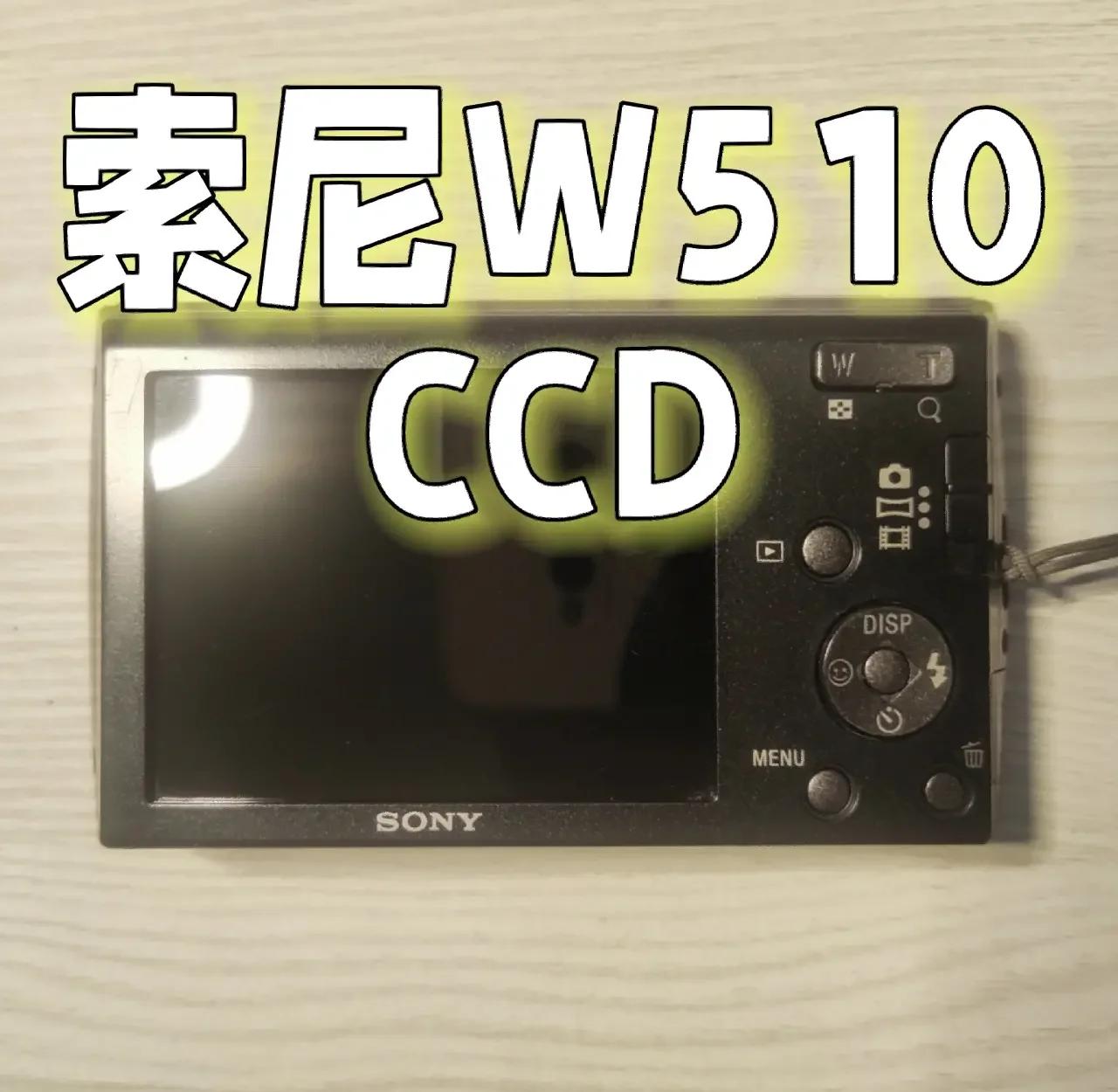 索尼旗艦機型:R1_索尼R1_數碼影像導購
