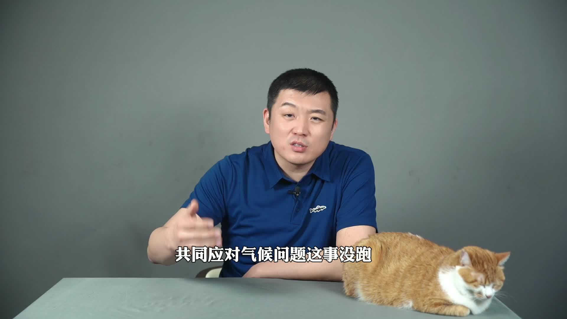 視頻網站我樂網關停1月套牢2億風投_互聯網