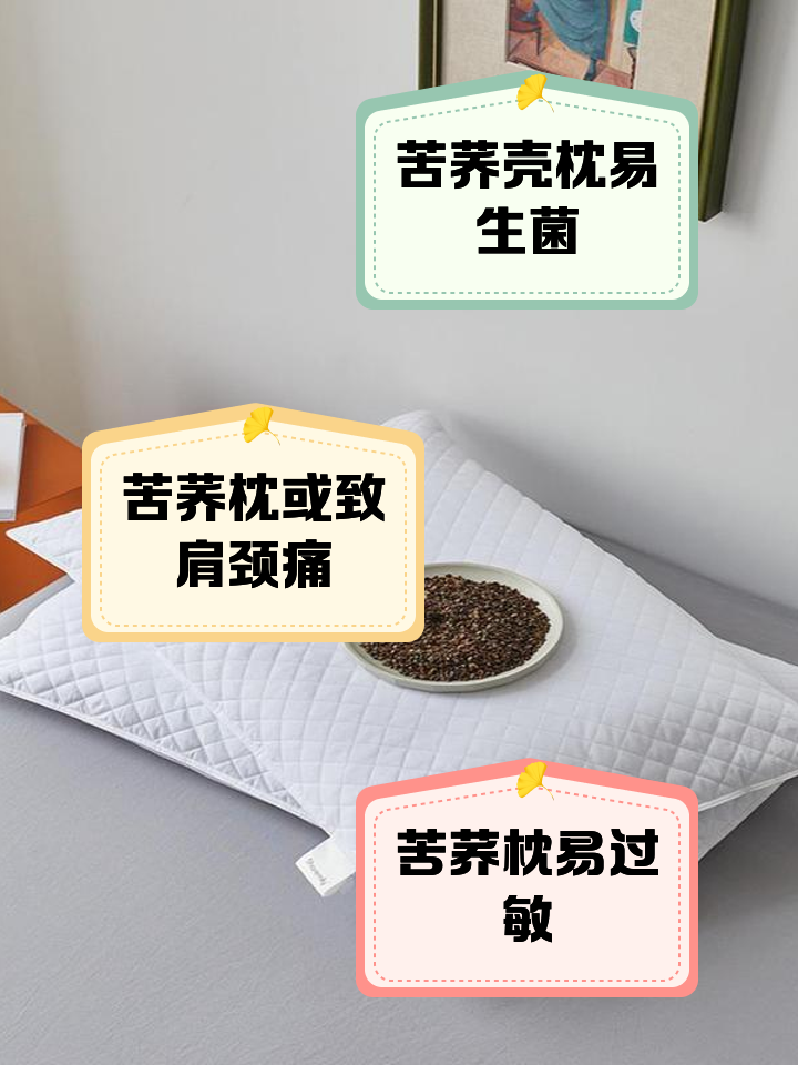 請問下大家蕎麥枕頭會生蟲嗎