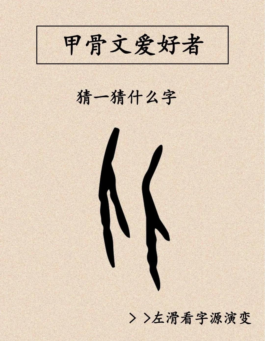 【甲骨文轉換器怎么用】甲骨文轉換器好不好_使用技巧