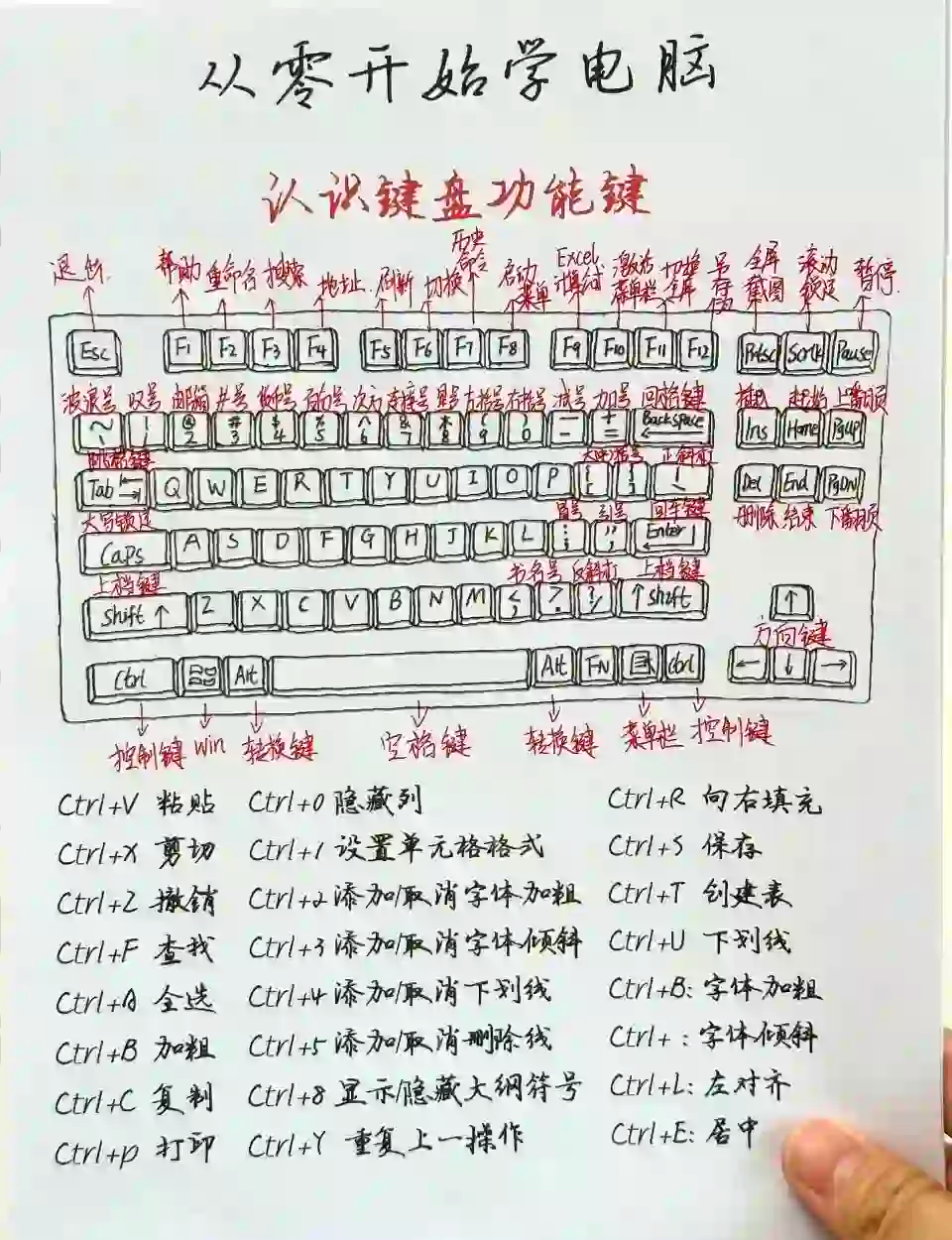 雪傲柔