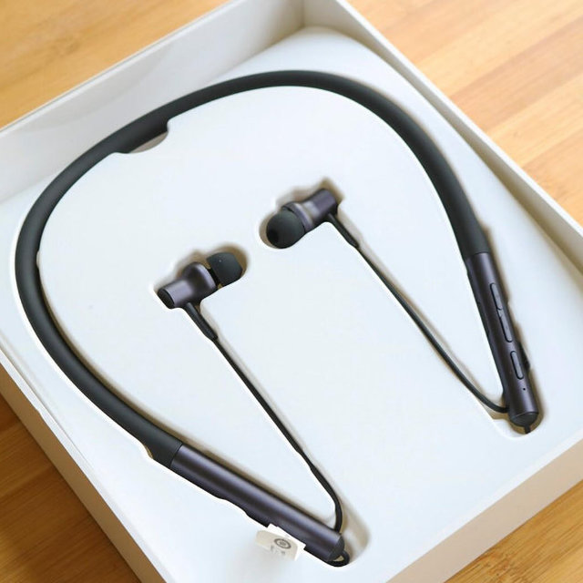 小米Xiaomi清新版入耳式有線耳機僅29元包郵_行情