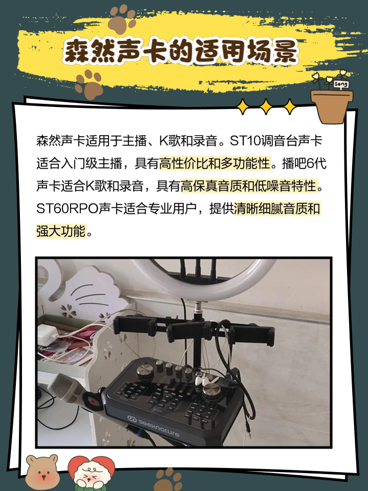 【森然聲卡專區】報價評測導購圖片(森然)森然聲卡大全