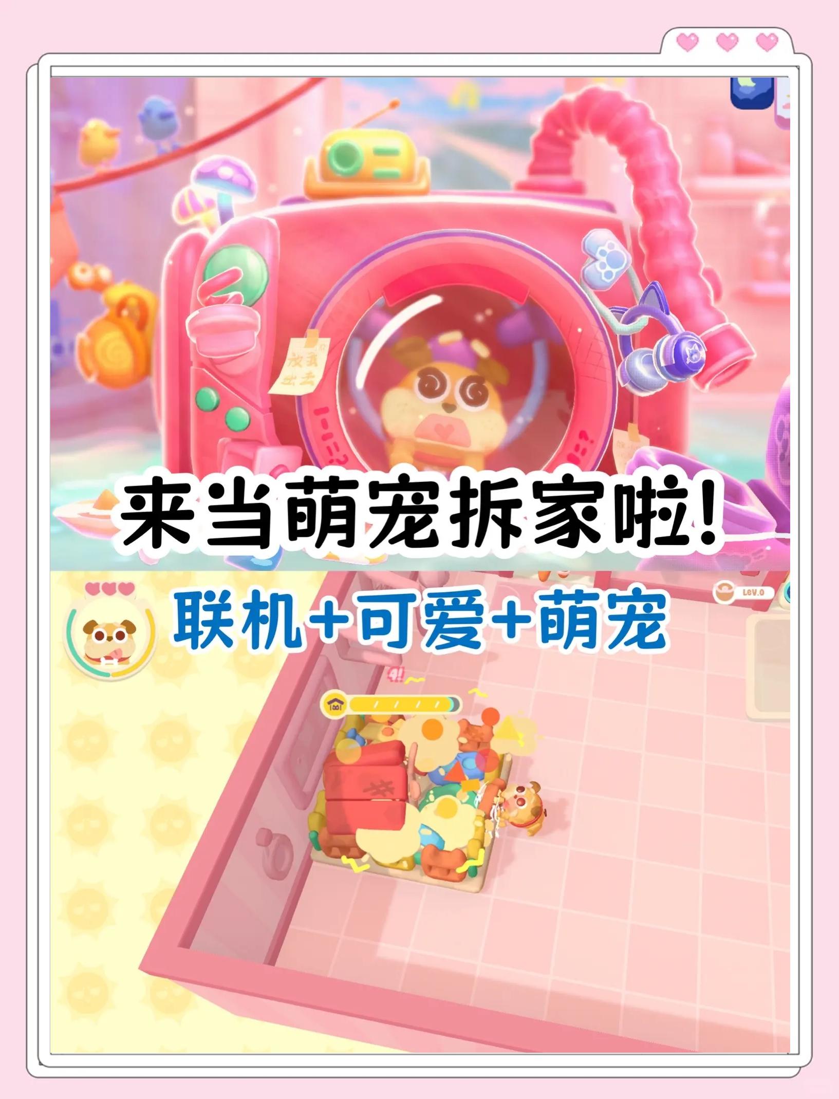 愛寵國在電腦上可以玩嗎?從那可以進入愛寵國