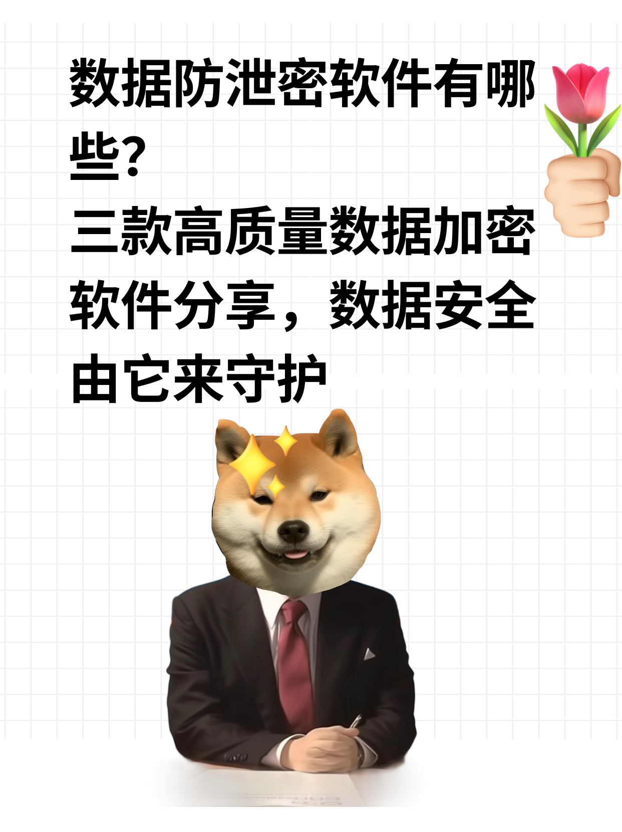 2024年十款必備的加密解密軟件:保護你的數據安全