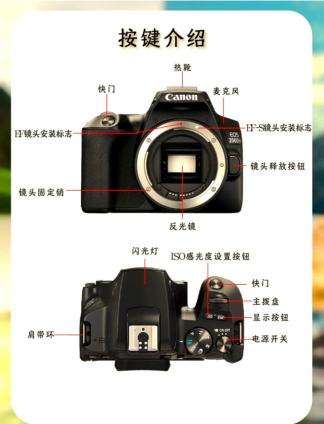 金銳翰