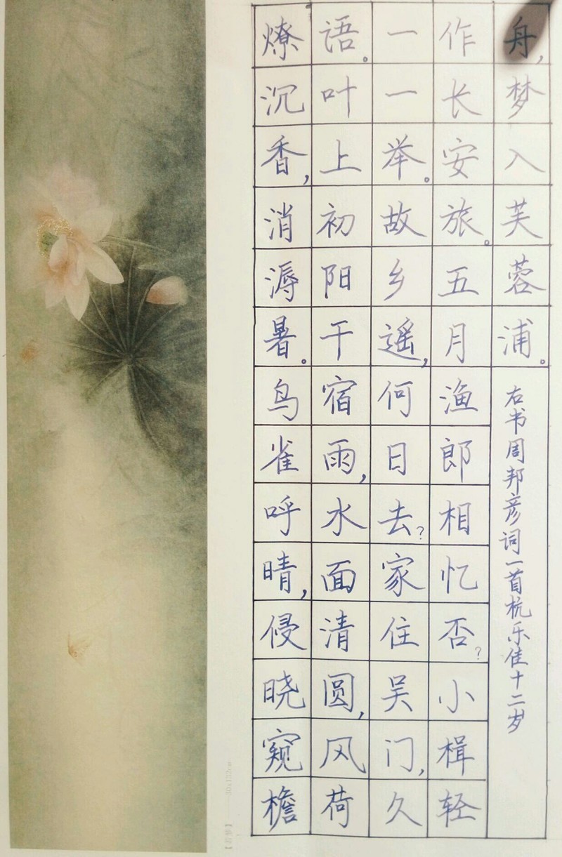 蒼豆