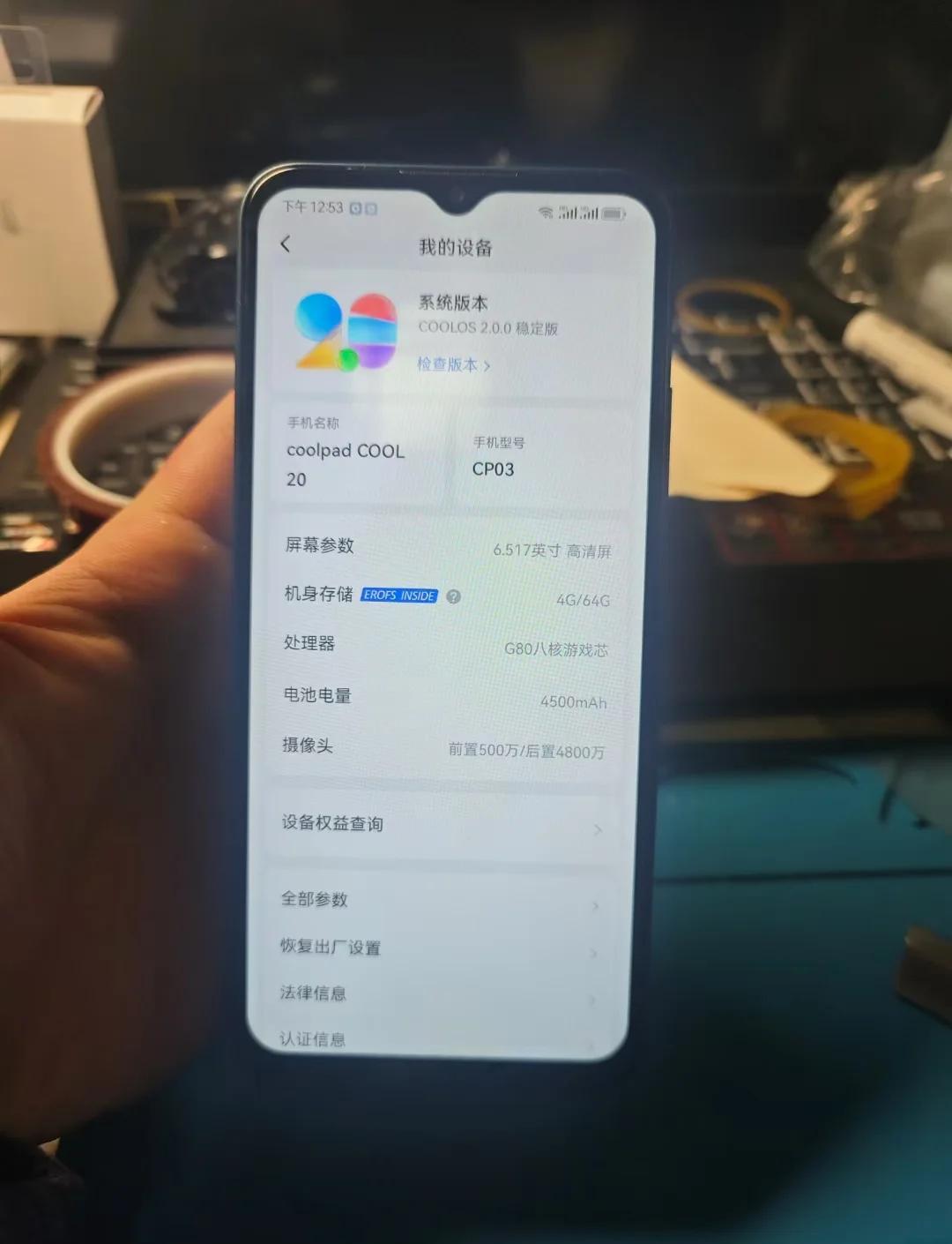 琴軒