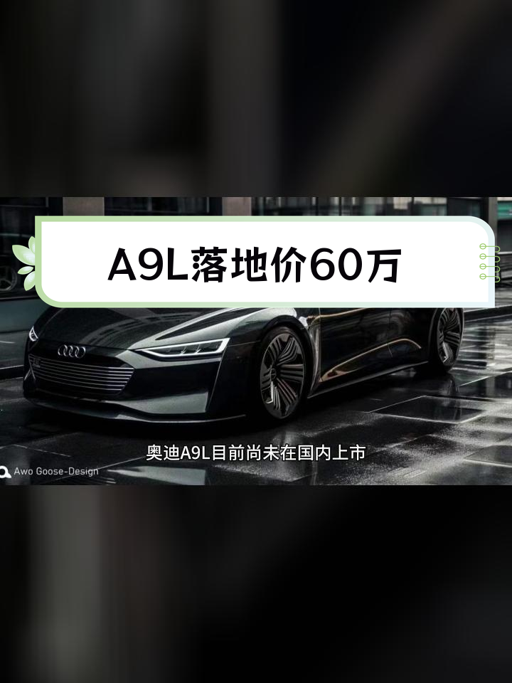 茍晶晶