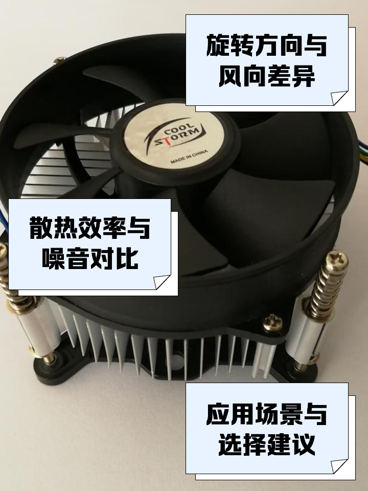柳曉楓
