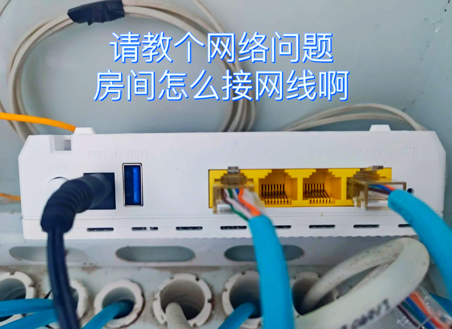 青如曼