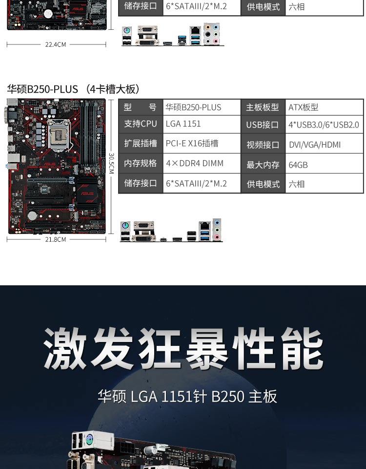 紫新冬