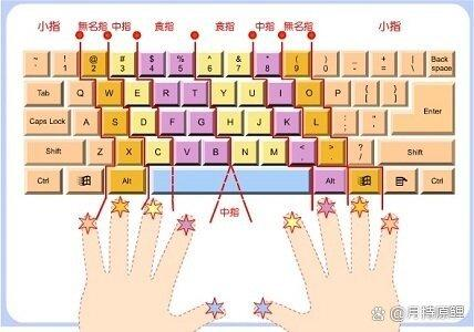 打字時打不出來P?別的都能打出來為什么啊???