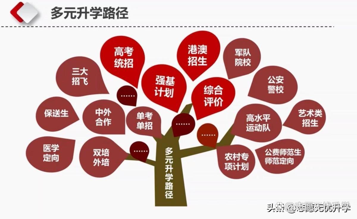 解碼廣東企業出海多元路徑,依托口岸資源開拓全球市場