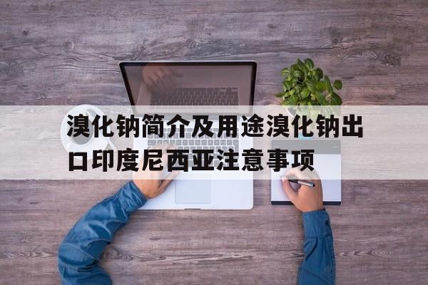 溴化鈉簡介及用途溴化鈉出口印度尼西亞注意事項